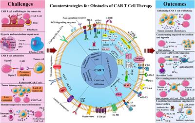 Frontiers | The current landscape of CAR T-cell therapy for solid